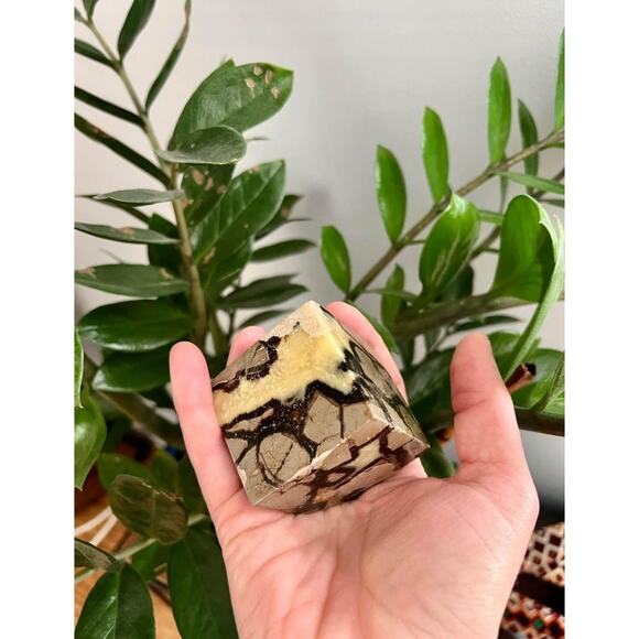 Cut Base Septarian Cube